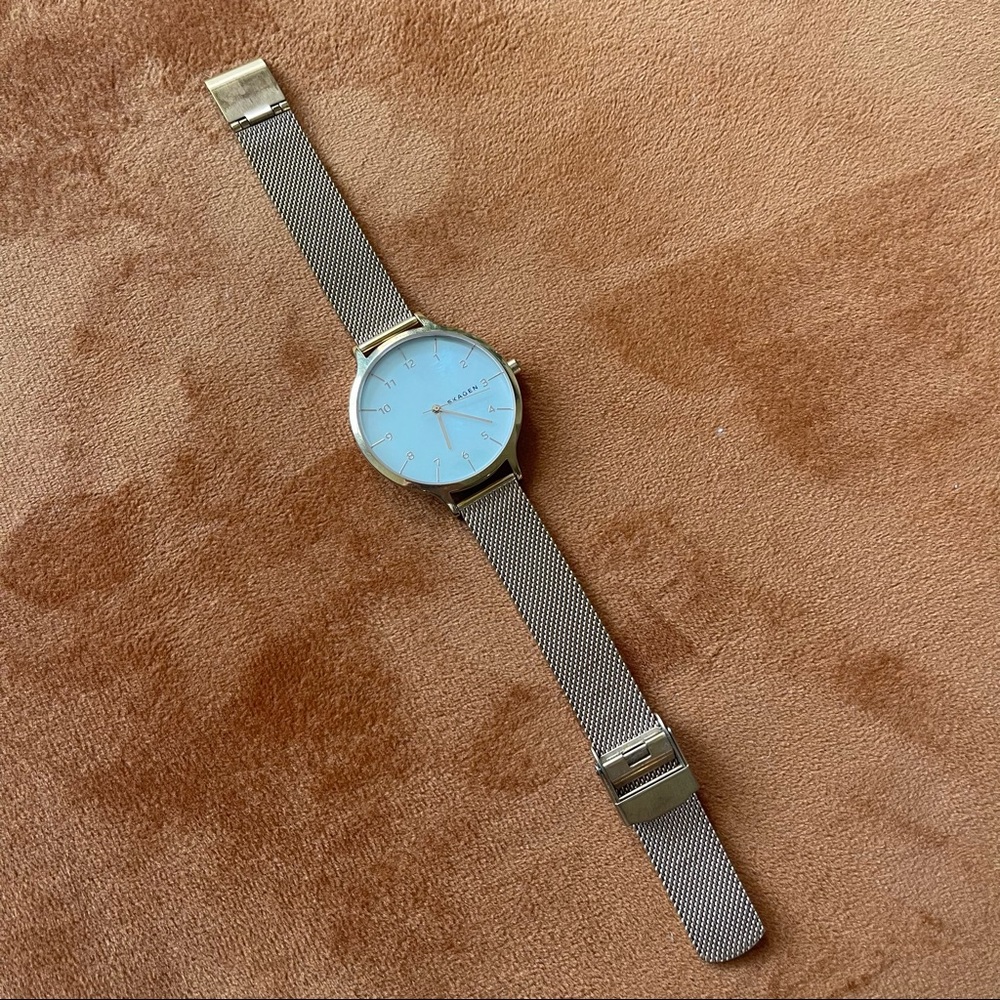Skagen Rose Gold Watch